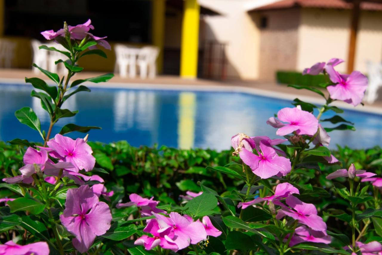 Deluxe Suites Guacamayos - Eco-Lodge & Swimming Pool Bonao Exterior foto